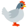 SABUNG AYAM